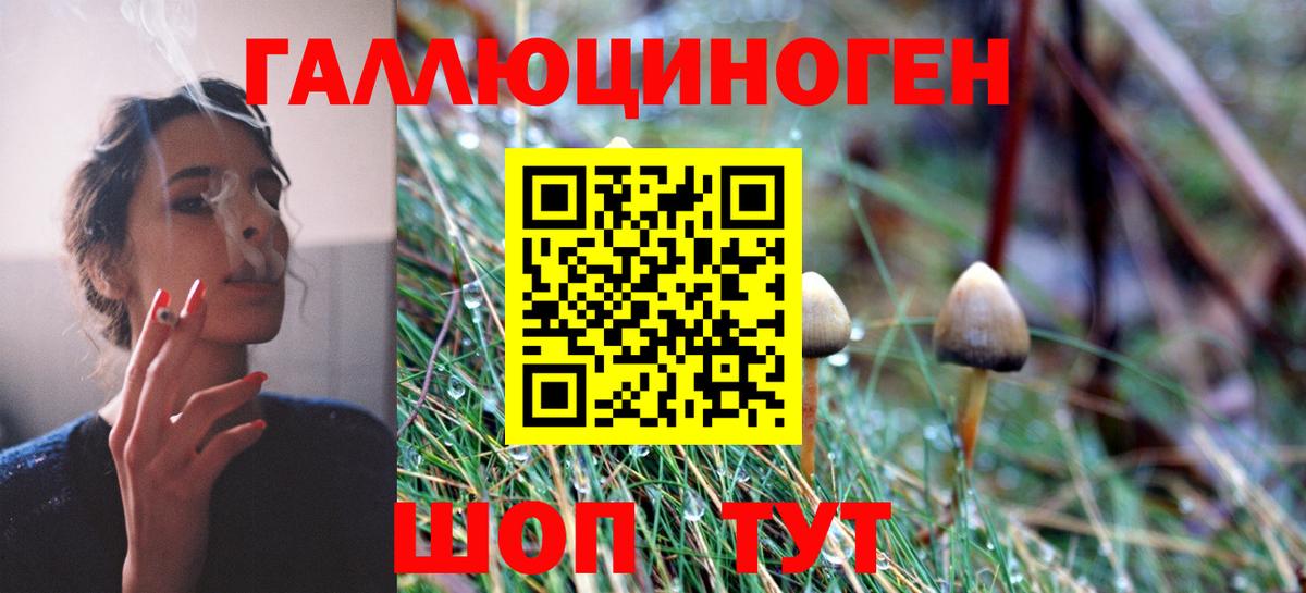 Вязьма  Галлюциногенные грибы мицелий  Псилоцибиновые грибы GOLDEN TEACHER  Вход с VPN 