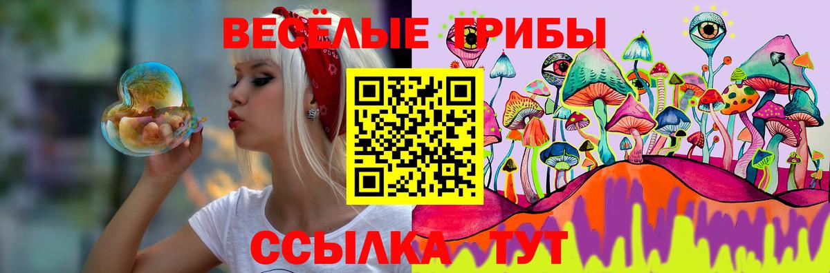 Псилоцибиновые грибы Psilocybe Вязьма